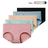 Bundle of 5 Seamless Modal Panty Antibacterial Panties Highly Stretchable Breathable And Cooling