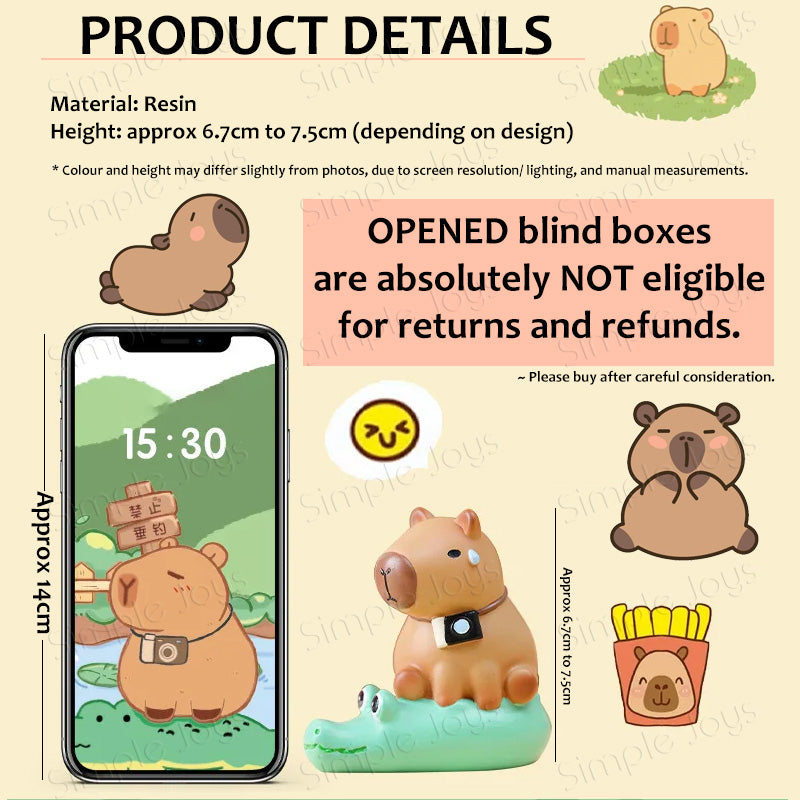 Kapibara Capybara Blind Box Figurines Resin Cute Gift