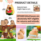 Kapibara Capybara Blind Box Figurines Resin Cute Gift