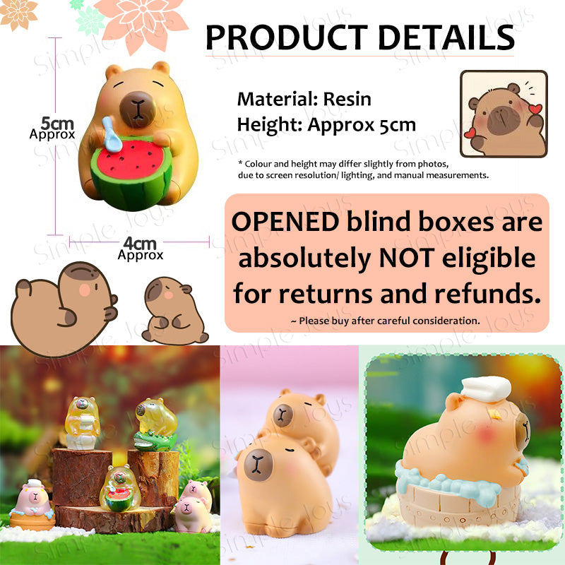 Kapibara Capybara Blind Box Figurines Resin Cute Gift