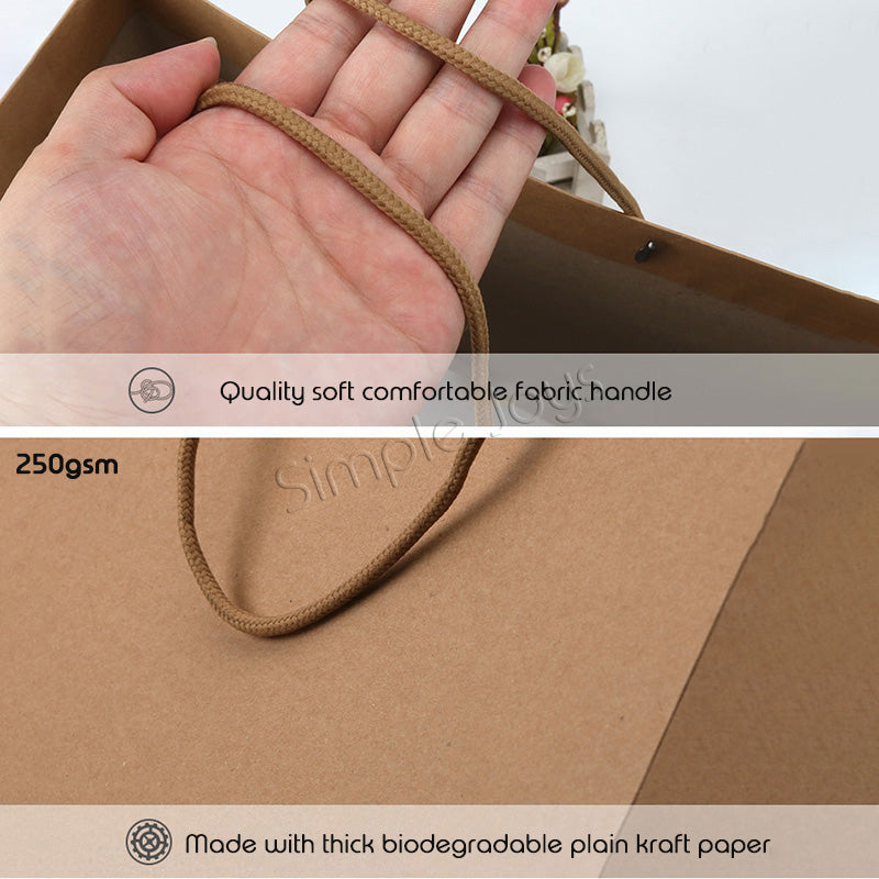 [10 pcs bundle] Kraft Paper Bags with Handles Great For Gift And Party